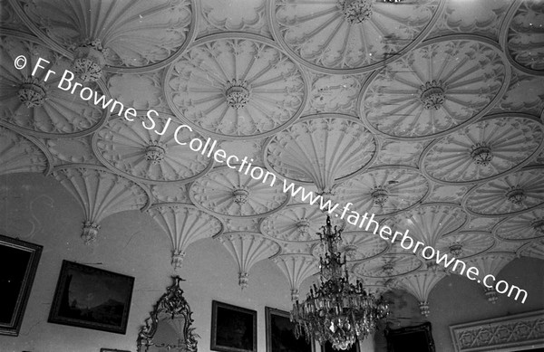 SHELTON ABBEY CEILING OF SALOON